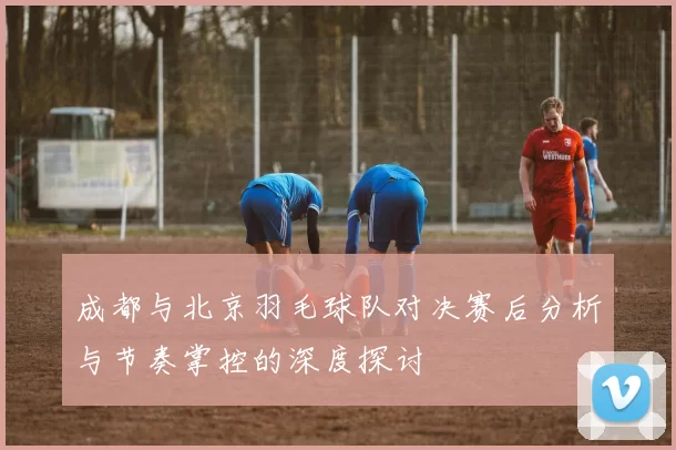 成都与北京羽毛球队对决赛后分析与节奏掌控的深度探讨