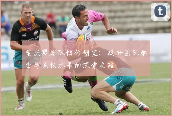重庆攀岩队协作研究：提升团队配合与竞技水平的探索之路