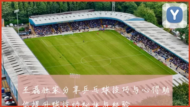 王磊独家分享乒乓球技巧与心得助你提升球技的秘诀与经验