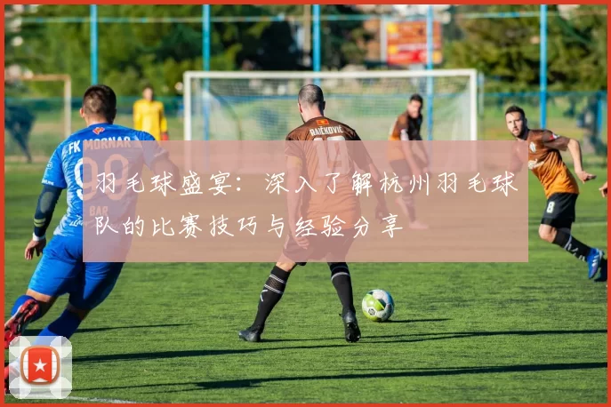 羽毛球盛宴：深入了解杭州羽毛球队的比赛技巧与经验分享