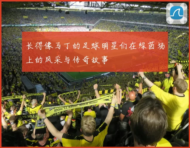 长得像马丁的足球明星们在绿茵场上的风采与传奇故事
