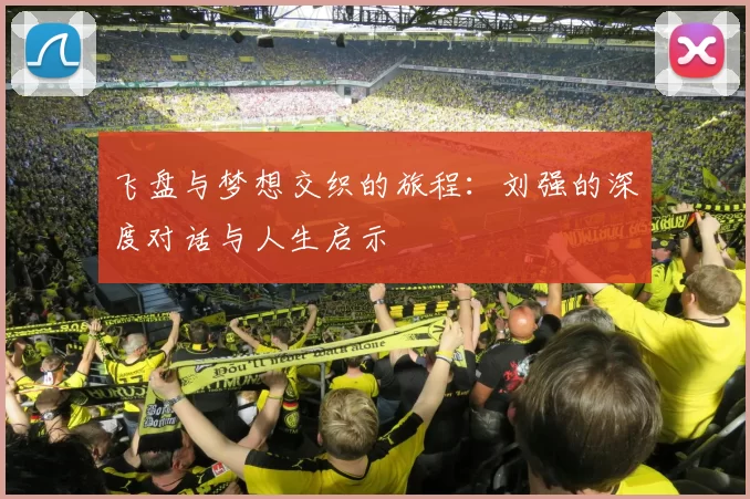 飞盘与梦想交织的旅程：刘强的深度对话与人生启示