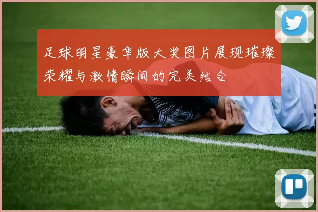 足球明星豪华版大奖图片展现璀璨荣耀与激情瞬间的完美结合