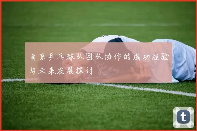 南京乒乓球队团队协作的成功经验与未来发展探讨