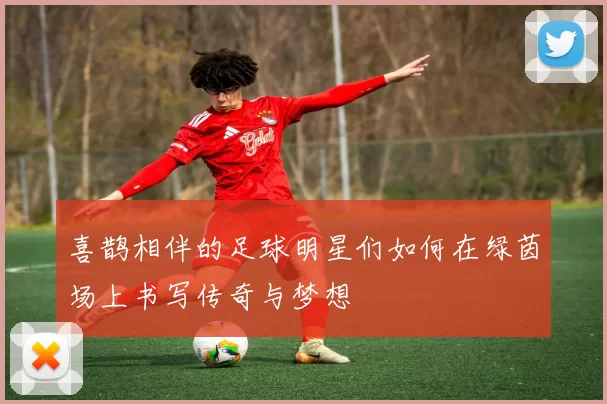 喜鹊相伴的足球明星们如何在绿茵场上书写传奇与梦想