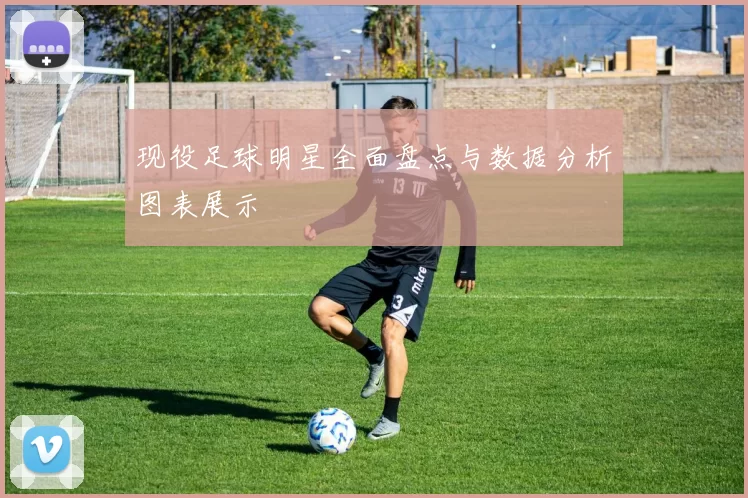 现役足球明星全面盘点与数据分析图表展示
