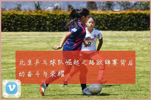 北京乒乓球队崛起之路欧锦赛背后的奋斗与荣耀