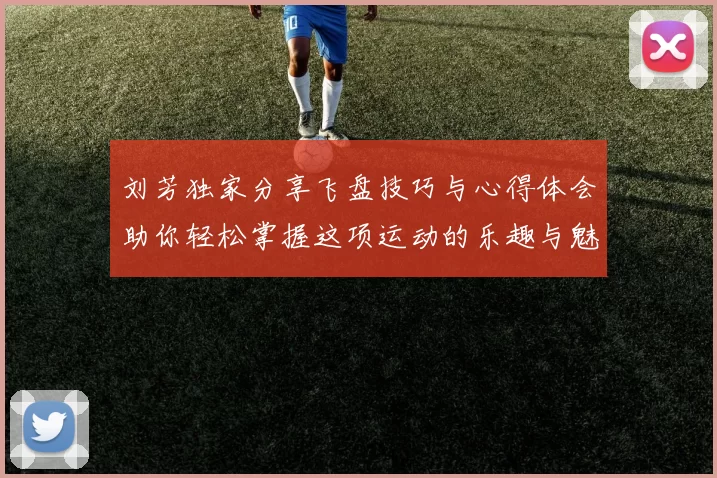 刘芳独家分享飞盘技巧与心得体会助你轻松掌握这项运动的乐趣与魅力