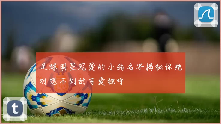 足球明星宠爱的小狗名字揭秘你绝对想不到的可爱称呼