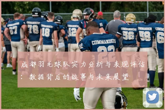 成都羽毛球队实力分析与表现评估：数据背后的故事与未来展望