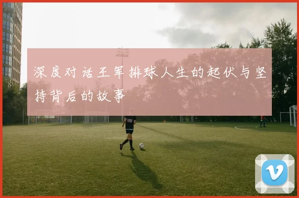 深度对话王军排球人生的起伏与坚持背后的故事