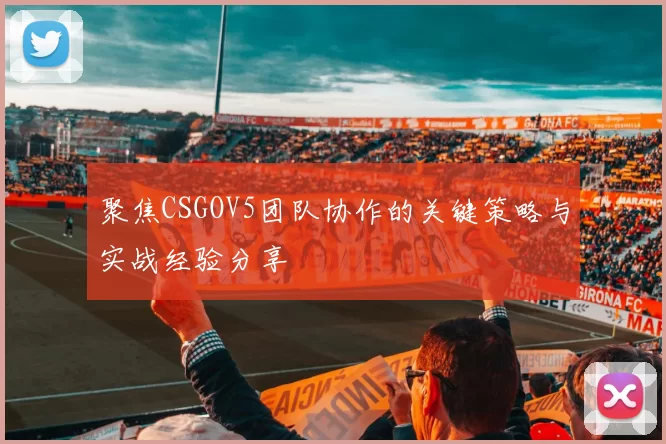 聚焦CSGOV5团队协作的关键策略与实战经验分享