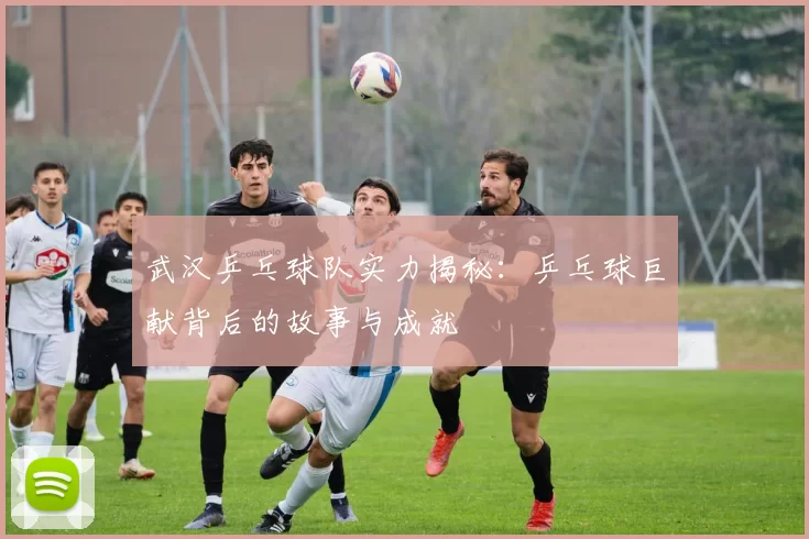 武汉乒乓球队实力揭秘：乒乓球巨献背后的故事与成就