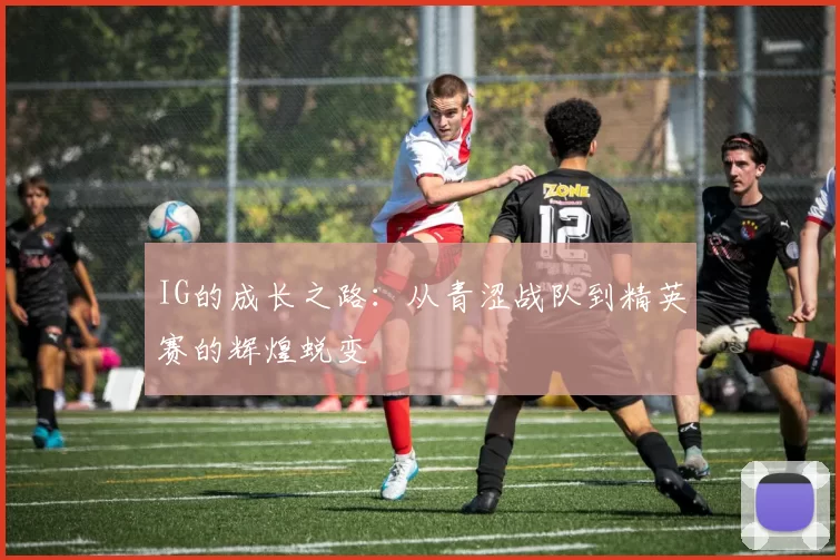 IG的成长之路：从青涩战队到精英赛的辉煌蜕变