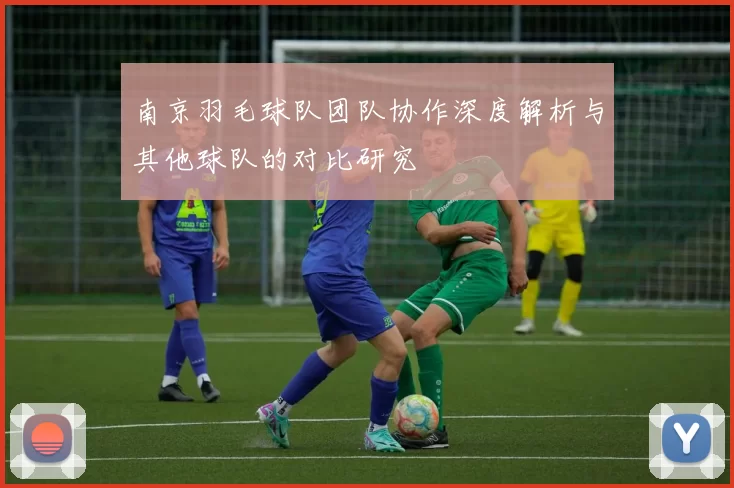 南京羽毛球队团队协作深度解析与其他球队的对比研究