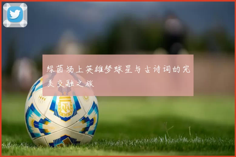 绿茵场上英雄梦球星与古诗词的完美交融之旅