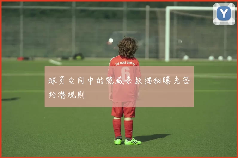 球员合同中的隐藏条款揭秘曝光签约潜规则
