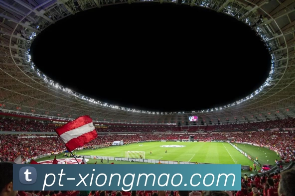 熊猫体育发展历程